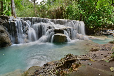 Scenic view of waterfall in forest