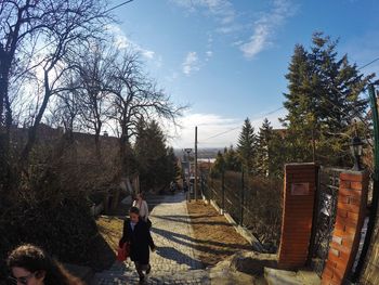 People walking on bare tree against sky