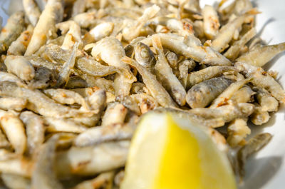 Close-up of seafood in plate