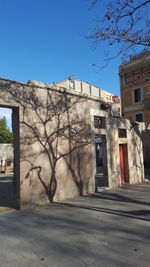 Bare tree in city against clear sky