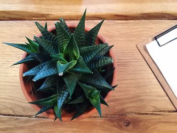 High angle view of leaves on table