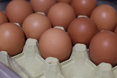 High angle view of eggs in row