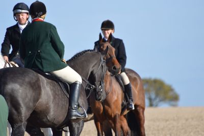 Man riding horse