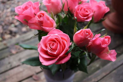 Close-up of pink rose