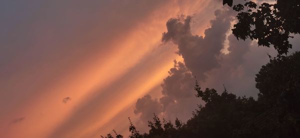 Low angle view of silhouette trees against sky during sunset