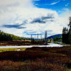 Scenic view of grassy field against cloudy sky