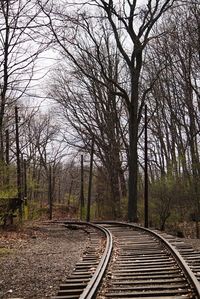 Railroad tracks amidst bare trees in forest against sky