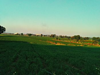 Scenic view of landscape against clear sky