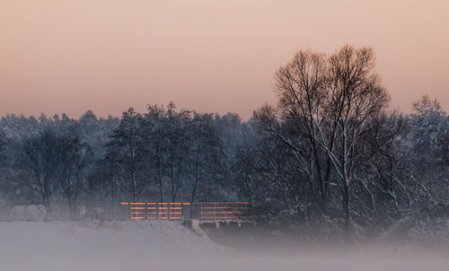Bare trees on field against sky during sunset