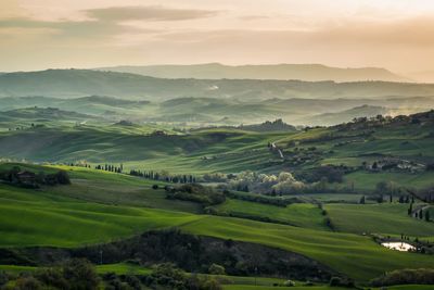 Scenic view of agricultural field against sky