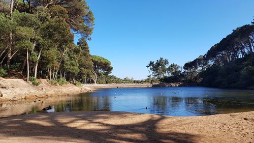 Scenic view of lake against clear blue sky