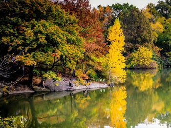 Scenic view of lake by trees during autumn