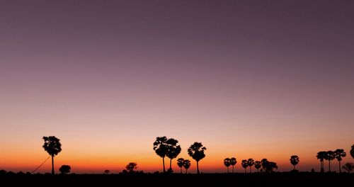 Silhouette trees on field against sky during sunset