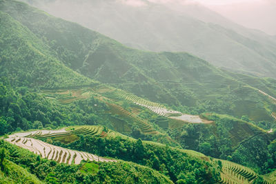 High angle view of agricultural field