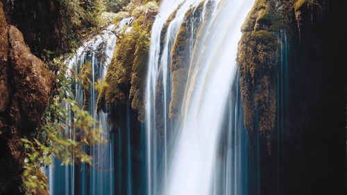 Scenic view of waterfall in forest