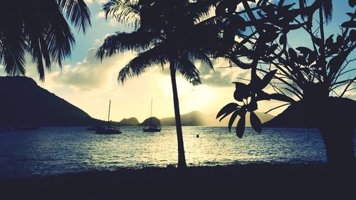 Scenic view of sea at sunset