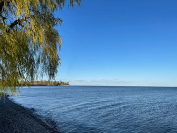 Scenic view of sea against clear blue sky