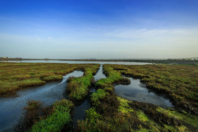 Scenic view of landscape against sky