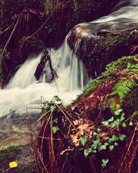 Scenic view of waterfall