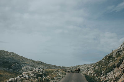 Rear view of man on mountain against sky