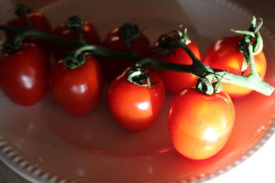 High angle view of tomatoes in plate on table