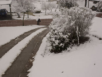 Man walking on snow covered landscape