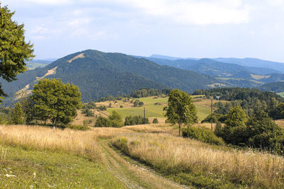 Scenic view of field against sky