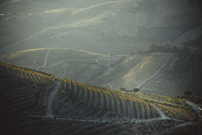 High angle view of agricultural field