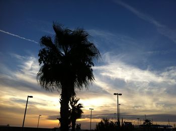 Silhouette palm trees against sky during sunset