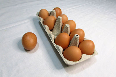 High angle view of eggs in plate on table