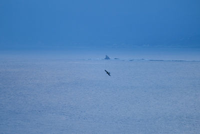 Scenic view of sea against blue sky