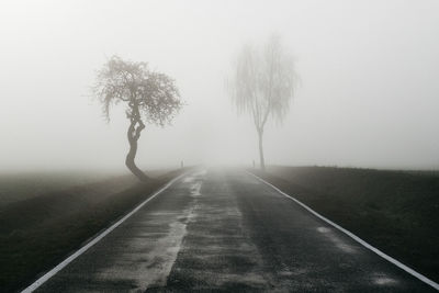 Road by trees against sky