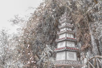 Low angle view of trees on building during winter