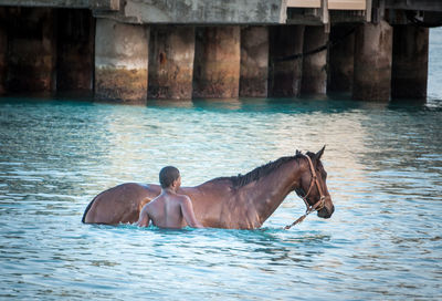 Reflection of people in water