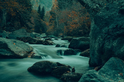 Scenic view of waterfall in forest