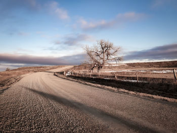 Road amidst bare trees on field against sky