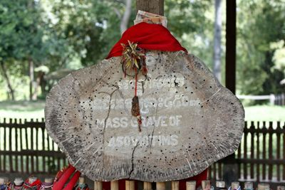 Close-up of christmas decoration hanging on tree