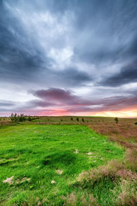 Scenic view of field against sky during sunset