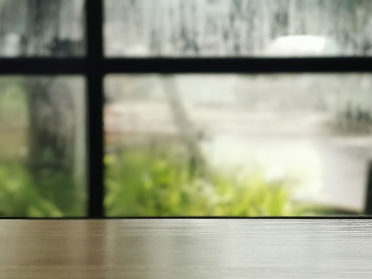 CLOSE-UP OF PLANTS ON WINDOW