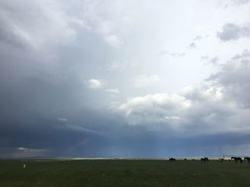 Scenic view of field against sky