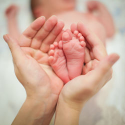 Close-up of baby hands