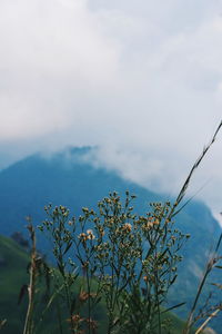 Low angle view of mountain range against cloudy sky