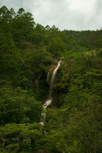 Scenic view of waterfall in forest against sky