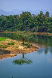 Scenic view of lake by trees against sky