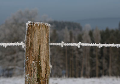Close-up of wooden post during winter