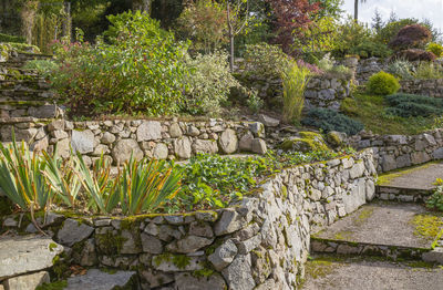 Stone wall and plants in garden