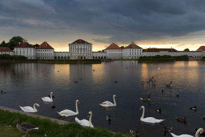 View of birds in lake at sunset