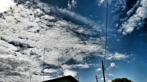 Low angle view of trees against sky