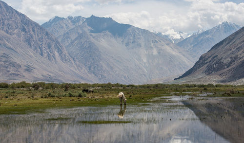 Scenic view of lake by mountains