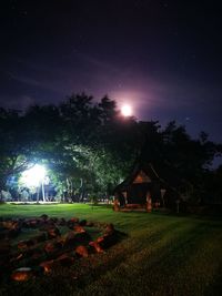 Trees on field against sky at night